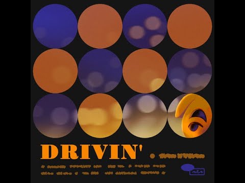 Drivin Aircheck Animal Crossing New Horizons