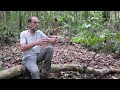 Les jardins du diable - Épisode 2 d'Itoupé 🌿
