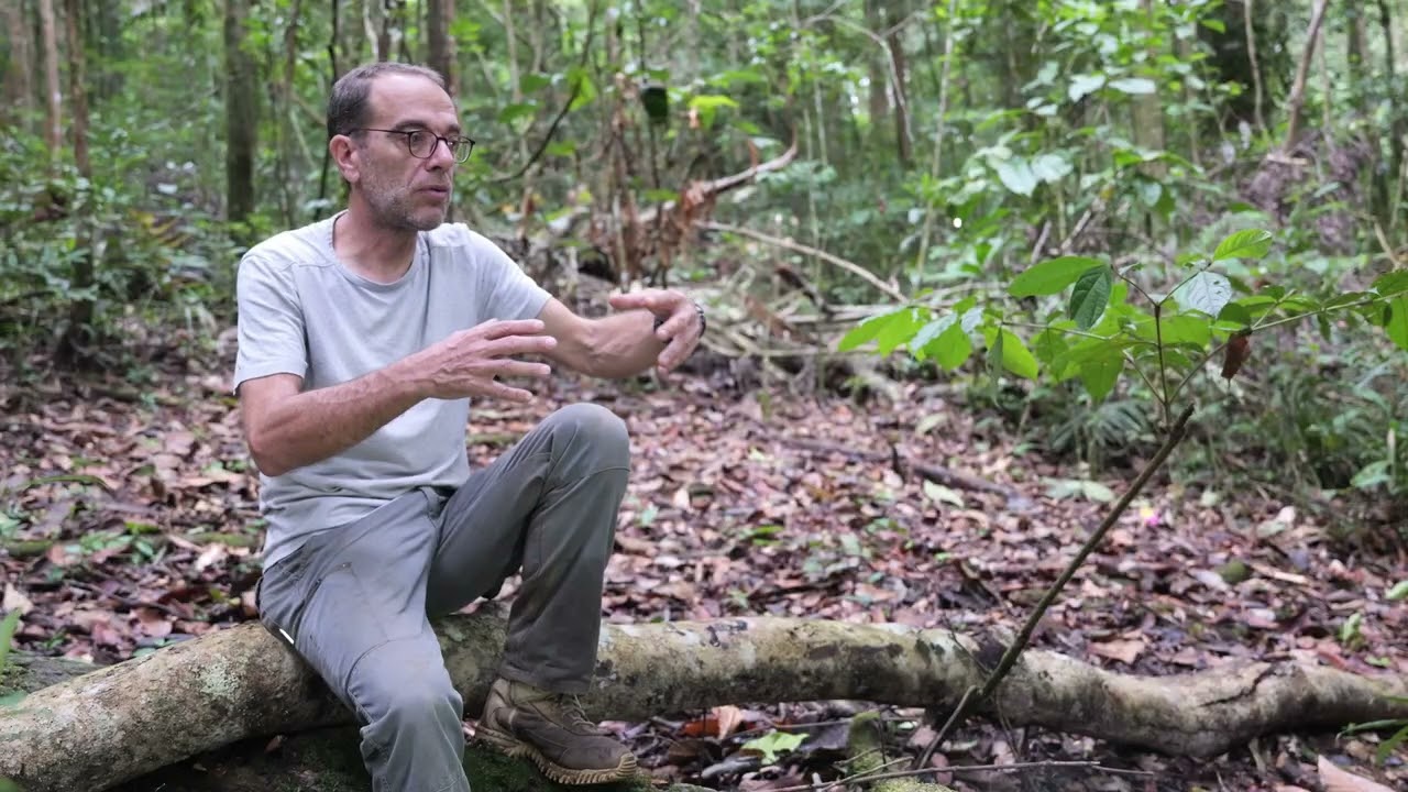 Episode 2   Les jardins du diable - série Itoupé 2025 ©Maxime Charronneau