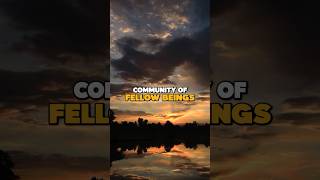 Ram Dass on Community as our Spiritual Lifeblood #ramdass #podcast #shorts #spirituality #community @BeHereNowNetwork