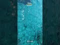 Fall Asleep Fast with Soothing Sounds