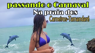 Férias De Carnaval 2024 Praia Dos Carneiro - Tamandaré