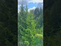 Lost in the Beauty of Switzerland