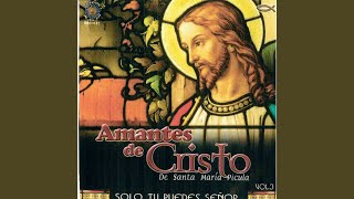 Miniatura del video "Amantes de Cristo - No Estoy Solo"