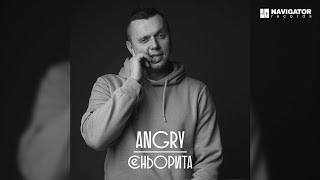 Angry – Сеньорита (Аудио)