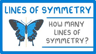 GCSE Maths - Lines of Symmetry #98