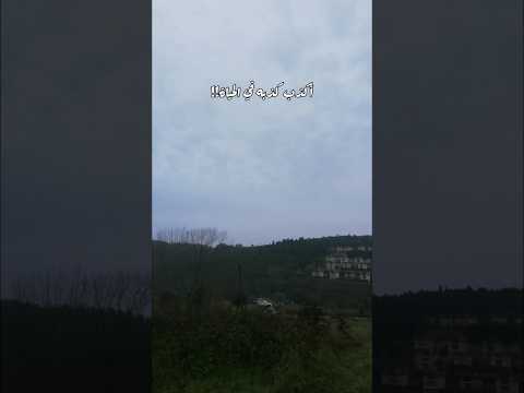 أكذب كذبه في الحياة Shortsستوري Quran سعد العتيق قصص حالات دينيه