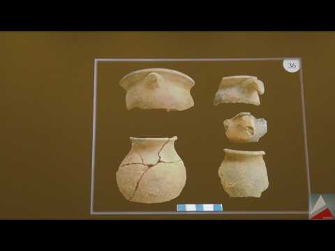 ვიდეო: თანამედროვე ეპოქის არქეოლოგია