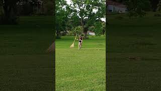 Bird Flies Toward Little Girl as She Runs Away