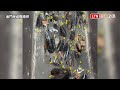 金門小三通又抓到活體走私！ 隨身行李藏248隻甲蟲 X光一掃活逮