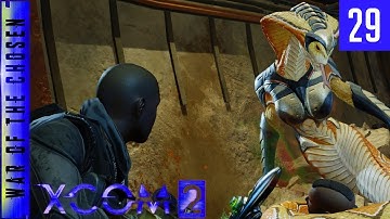 XCOM 2 War of the Chosen - A Better Advent - #29 - Like Bees to Honey