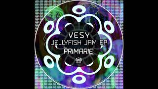 Vesy - The Lesson Original Mix Tzh186