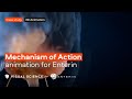 CASE STUDY. Mechanism of Action animation for Enterin