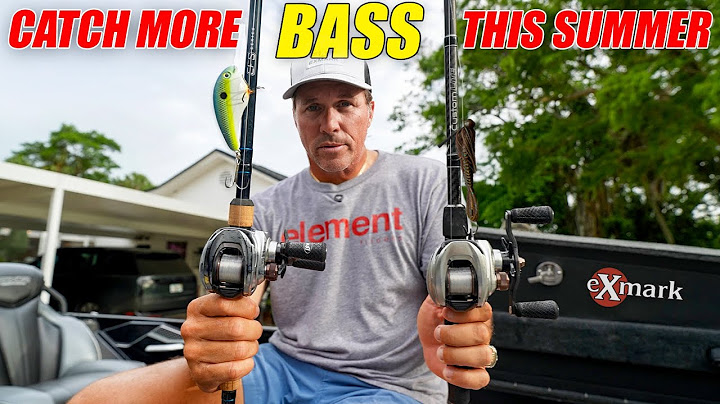 Summer Bass Fishing Secrets That Actually Work... BIG REVEAL!