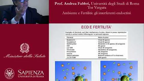 Che vuol dire interferenti endocrini?