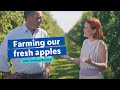 Farming our fresh apples  lidl gb