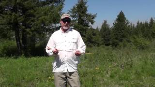 Black Eagle Arrows Field Test - Arrow Review