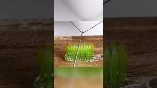 ⠀​⠀​⠀​⠀​⠀​⠀​⠀​⠀​⠀​⠀​⠀​⠀⠀​⠀​⠀​