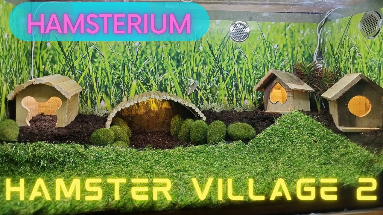 Hamsterium - Hamster Village 2 / Membuat Hamsterium ke 2 Untuk Hamster