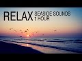 صوت البحر بدون موسيقىى : صوت الامواج,صوت البحر والطيور - اصوات الطبيعة - ساعة كاملة - 