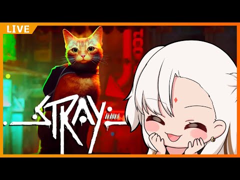 ◆ Stray ◆ 我們一起學貓叫一起喵喵喵喵 【圖奇VOD】