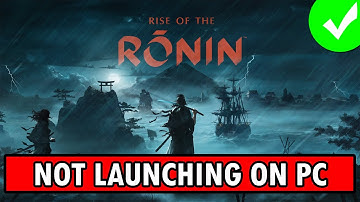 How To Fix Rise of the Ronin Won