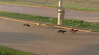 GEL TUE 15 FEB 22 ST1