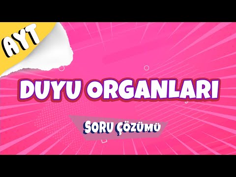 Duyu Organları Soru Çözümü | 2022 #hedefekoş