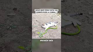 Será ? #vocesabia #curiosidades #documentário