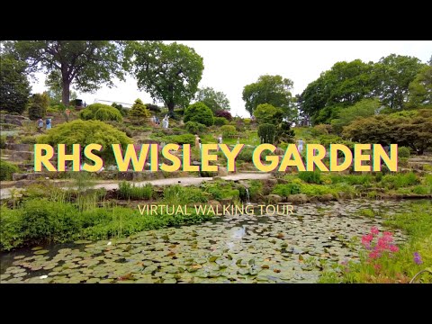 RHS GARDEN WISLEY 2021 | VIRTUAL WALKING TOUR | HERE WE GO | RELAXING SPRING WALK | 4K | HD