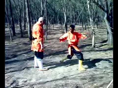 Shifu kanishka Training under Grand master Shi yanzi