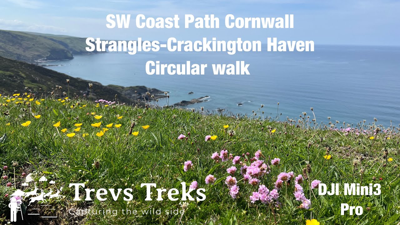 Strangles to Crackington Haven circular walk. SW coast path Cornwall