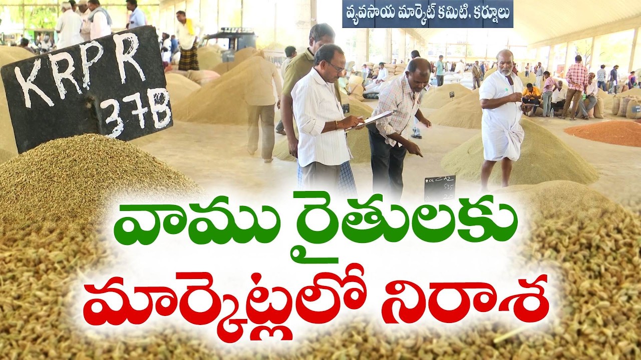 Farmers Disappointed in Kurnool Market | Ajwain Prices Fall Despite High Demand