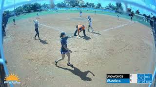 Snowbirds vs Skeeters 6 16 2026 2