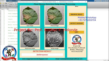 Plant Disease Detection Using Deep Learning CNN | With Source Code | Plant Disease Classification
