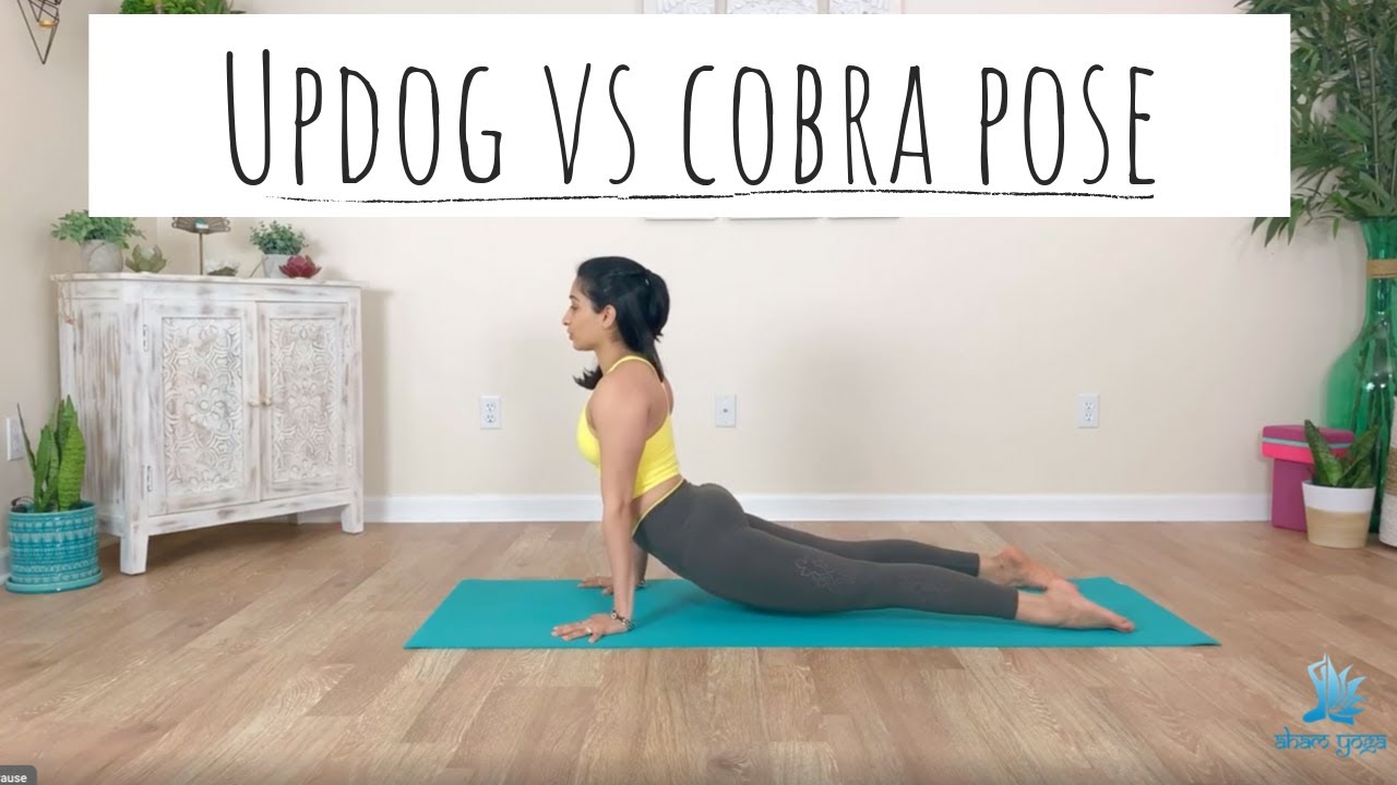 Updog Vs Cobra pose What's the difference? Which is better? Aham Yoga