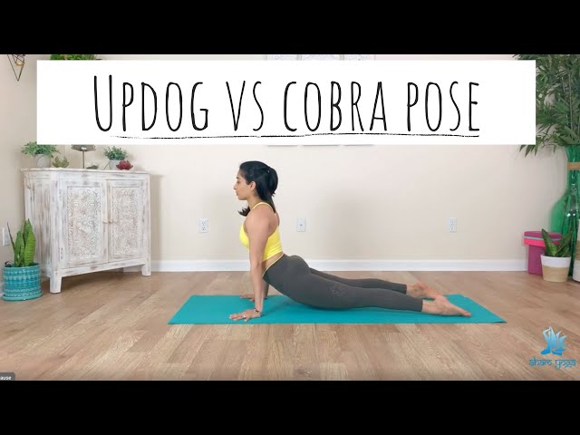 Cobra Pose Yoga Workout. Bhujangasana Stock Vector - Illustration of asana,  vector: 223774401