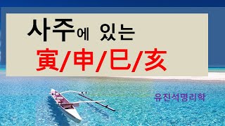 배우자 자리에 인신사해 역마살이 있는경우.오상유진석명리학강의