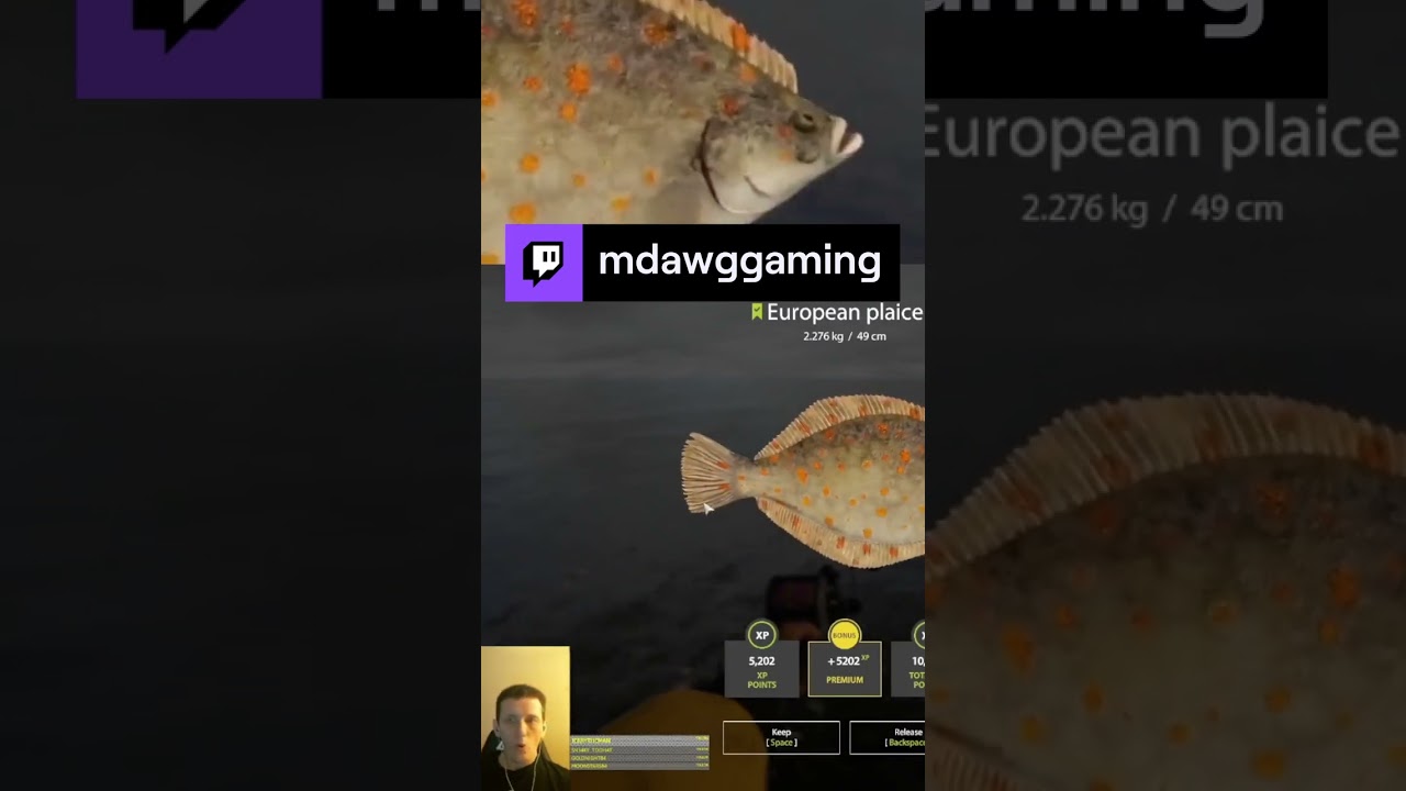 MDawg's Plaice | mdawggaming on 