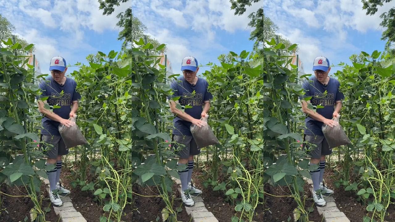 娶个中国老婆太烦了，天天干不完的活！#中外夫妻 #种菜 #外国人说中文