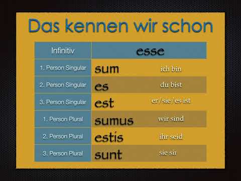 Das Verb posse