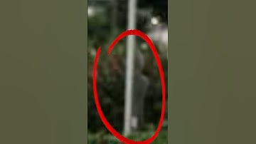 Thumbnail of scariest thing hidden in normal photos 😲#scary videos #scary#horror shorts#horrorstory
