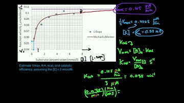 Michaelis-Menten Plot: Determine 4 Kinetic Parameters (Part 1)