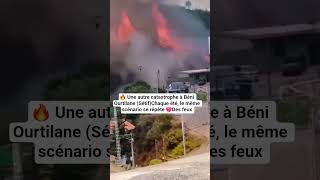🔥 Une Autre Catastrophe À Béni Ourtilane (Sétif)Chaque Été, Le Même Scénario Se Répète 💔Des Feux