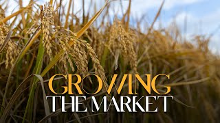 Growing the Market
