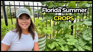 Heat Tolerant Crops to Grow in Summer in Your Florida Vegetable Garden