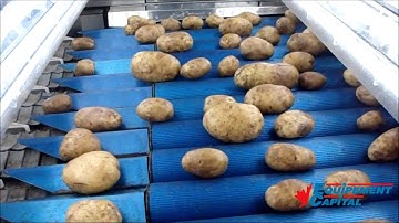 Newtec Celox XT Potatoes