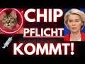 AB SOFORT: EU CHIP PFLICHT für KATZEN &amp; HUNDE BESCHLOSSEN! (verpflichtend) 