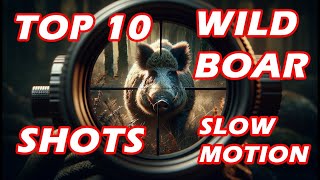 🔥Top 10 🐗 Wild Boar Shots🐗 compilation on Slow-motion