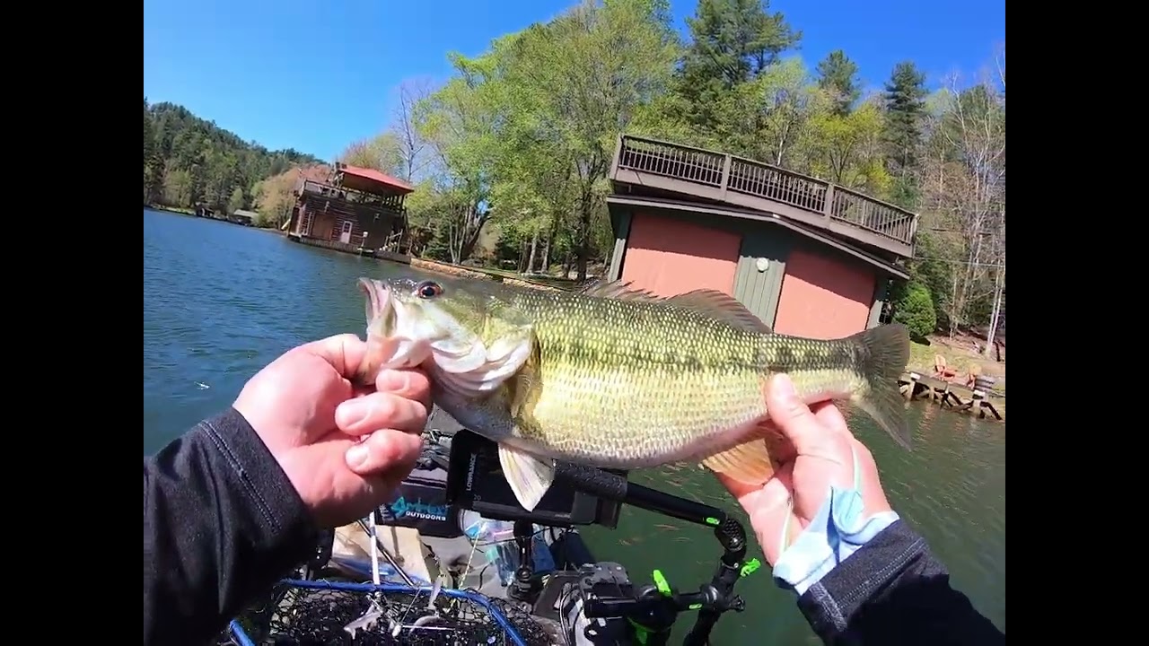 Big Bass First Edit